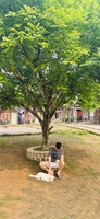 Tuấn Anh
