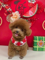 Mỹ kỳ 