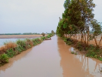 An Nguyen
