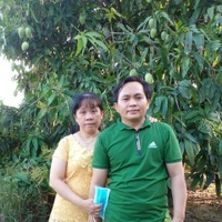 Thông Trần
