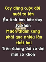 ngoc hai