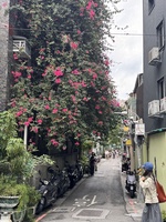 Cô Tươi