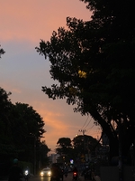 Oanh
