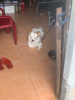 đào thị diễm phúc
