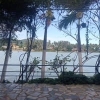 Thái Quốc 