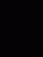 mua bán gà lão địa