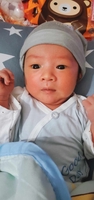 Điệp Vũ