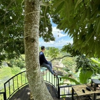 tài tăng tốc