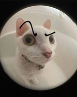 Quý