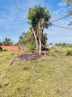 Trân Hương 