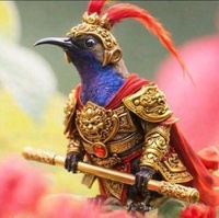 Đam Mê Chim