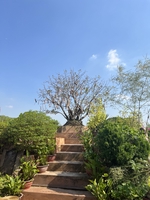 CŨ NGƯỜI MỚI TA 