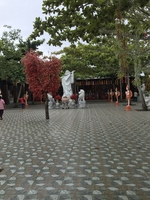 Tuấn