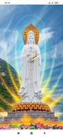 A tuấn