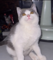 Nguyễn Võ Hoàng Minh