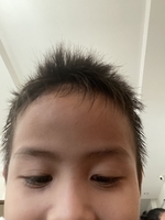 Dung