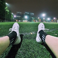 Quy DZ