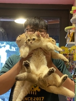 Trương Thành Phát