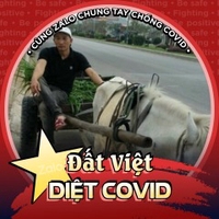 Trần vĩ