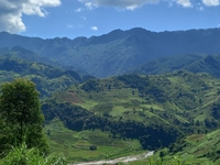 Trịnh Minh Đức