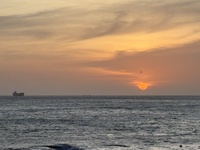 Nguyễn Hồng Xuân Hiệu