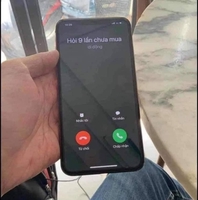 Chiến Kê Các loại 
