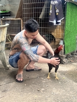 cu lụm