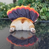 Như Ý