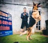 Thú cưng Tuấn Tới 