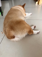 Tên chưa cung cấp