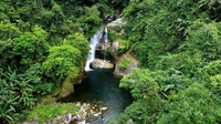 Phạm Lê Lài
