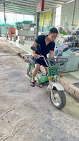 cao tu