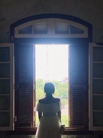 Cẩm Tú Cầu