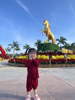 Việt