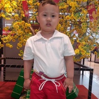 Hoàng Mạnh Hồng 