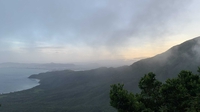 Lê Quang Tân