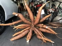 Nguyễn Đức Khải