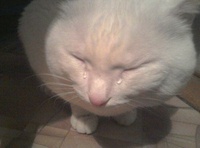 Hoàng Vũ Tùng Lâm