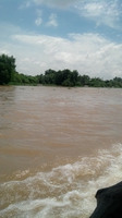 Hồng Phượng