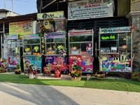 Xe Nước Mía Thanh Lý