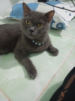 Huỳnh Đại Vĩ