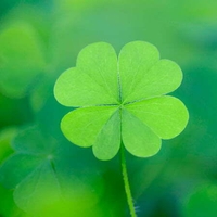 Nội thất Xuân Sắt