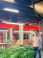 Ân Phạm