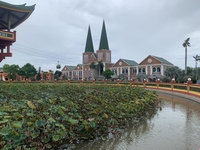 Đạt