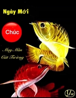 Ngocoanh