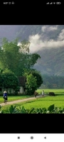 NGUYỄN ĐỨC TÍN