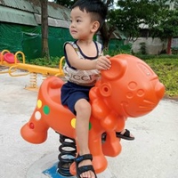 chim cu Sài Gòn 