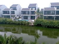 sơn nguyễn viết