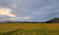 Ngọc Hải