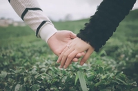 Nguyễn Thanh Trường